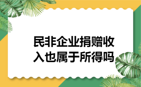 民非企业捐赠收入也属于所得吗