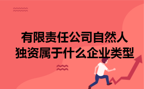 有限责任公司自然人独资属于什么企业类型