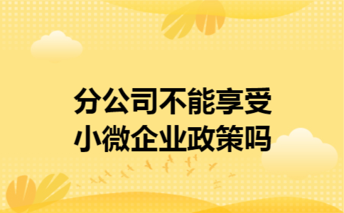 分公司不能享受小微企业政策吗