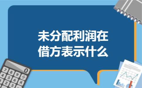 未分配利润在借方表示什么