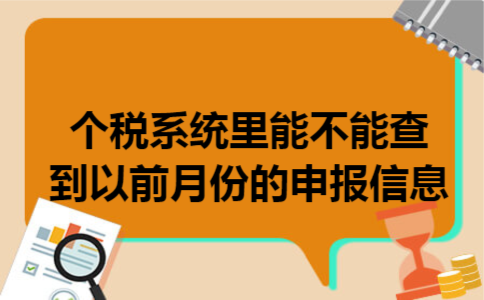 个税系统里能不能查到以前月份的申报信息