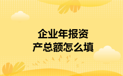 企业年报资产总额怎么填