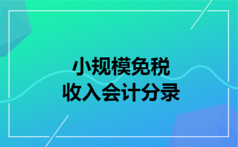 小规模免税收入会计分录