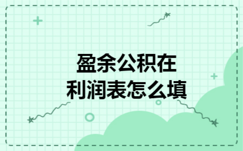 盈余公积在利润表怎么填