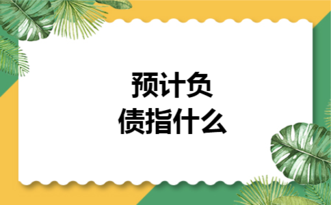 预计负债指什么