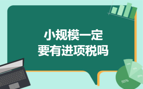 小规模一定要有进项税吗