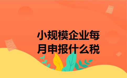 小规模企业每月申报什么税