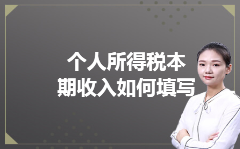 个人所得税本期收入如何填写