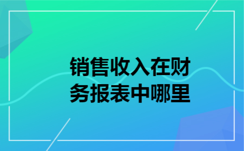 销售收入在财务报表中哪里 销售收入在财务报表中哪里
