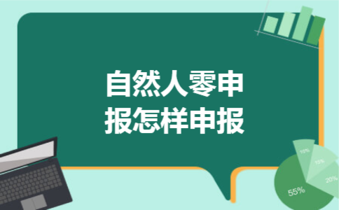 自然人零申报怎样申报