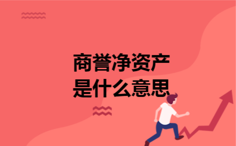 商誉净资产是什么意思