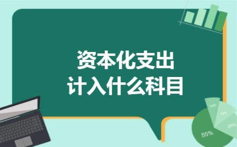 资本化支出计入什么科目 资本化支出计入什么科目