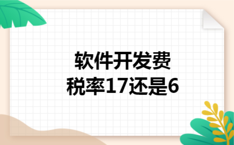 软件开发费税率17还是6