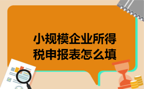 小规模企业所得税申报表怎么填