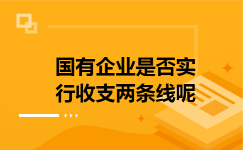 国有企业是否实行收支两条线呢