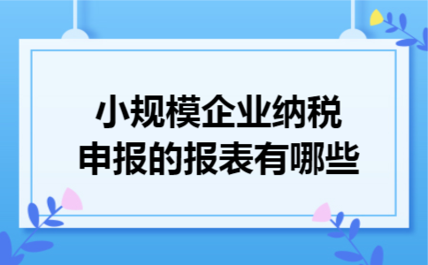小规模企业纳税申报的报表有哪些