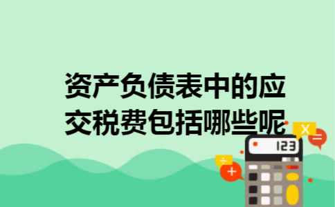 资产负债表中的应交税费包括哪些呢 资产负债表中的应交税费包括哪些呢