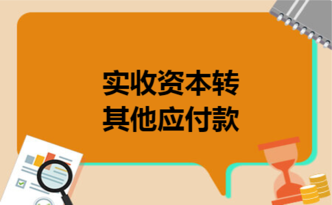 实收资本转其他应付款
