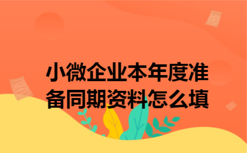 小微企业本年度准备同期资料怎么填