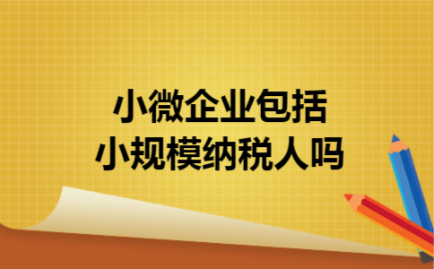 小微企业包括小规模纳税人吗