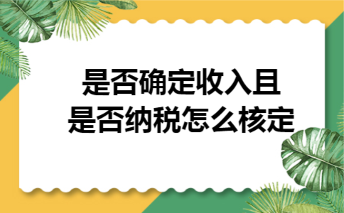 是否确定收入且是否纳税怎么核定