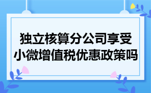 独立核算分公司享受小微增值税优惠政策吗