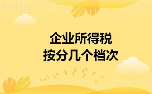  企业所得税按分几个档次
