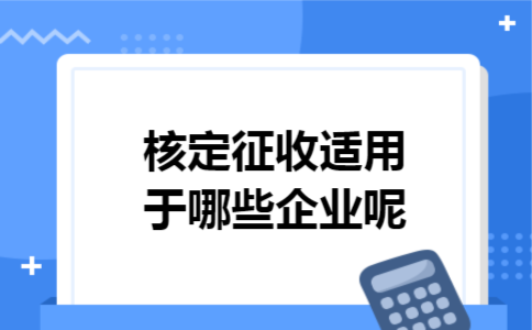 核定征收适用于哪些企业呢