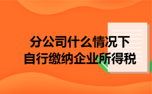 分公司什么情况下自行缴纳企业所得税
