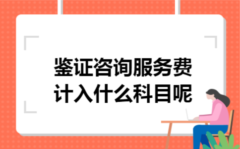 鉴证咨询服务费计入什么科目呢
