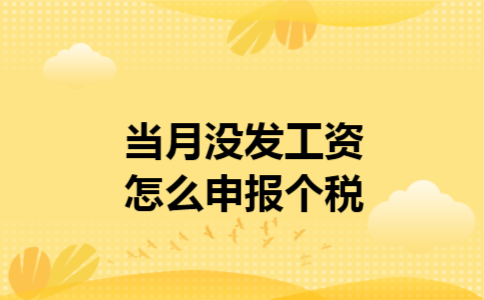  当月没发工资怎么申报个税