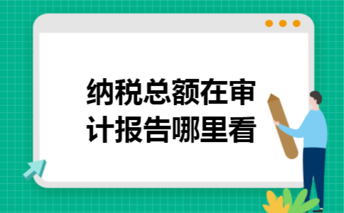 纳税总额在审计报告哪里看
