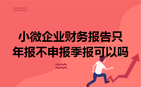 小微企业财务报告只年报不申报季报可以吗