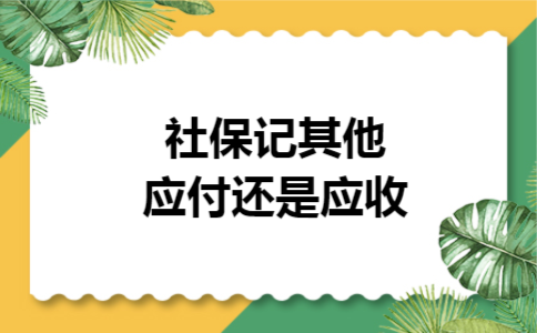 社保记其他应付还是应收 社保记其他应付还是应收