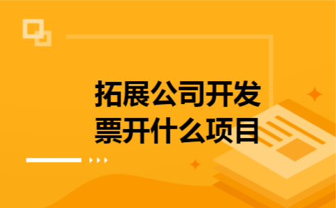拓展公司开发票开什么项目