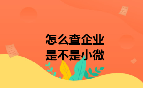 怎么查企业是不是小微 怎么查企业是不是小微