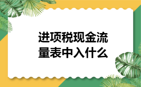 进项税现金流量表中入什么