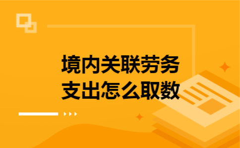 境内关联劳务支出怎么取数