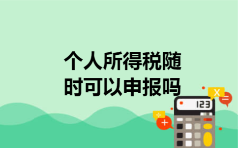 个人所得税随时可以申报吗 个人所得税随时可以申报吗