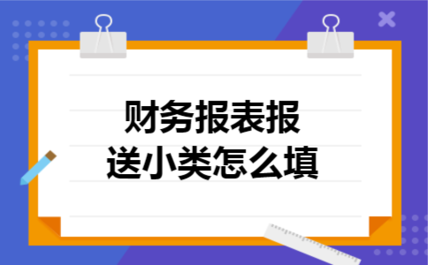 财务报表报送小类怎么填 财务报表报送小类怎么填