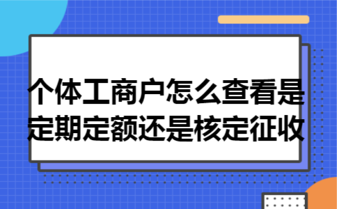 个体工商户怎么查看是定期定额还是核定征收