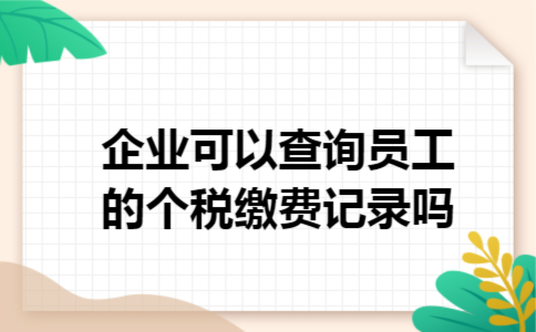 企业可以查询员工的个税缴费记录吗