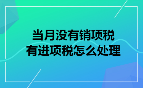 当月没有销项税,有进项税怎么处理