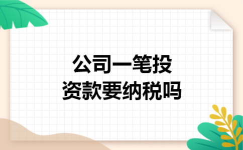 公司一笔投资款要纳税吗