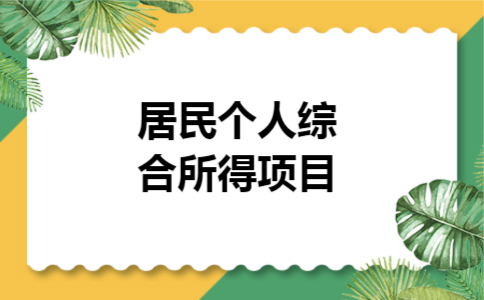居民个人综合所得项目