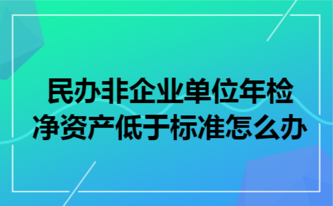 民办非企业单位年检净资产低于标准怎么办