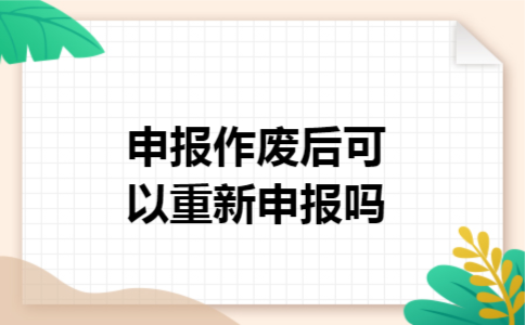 申报作废后可以重新申报吗