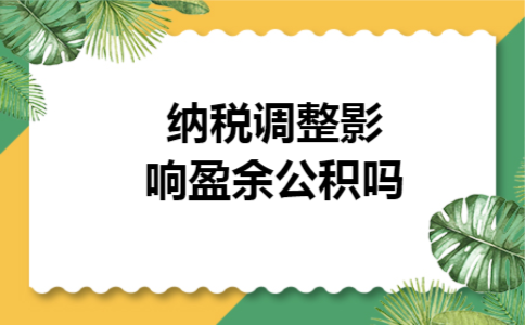 纳税调整影响盈余公积吗