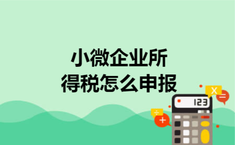 小微企业所得税怎么申报 小微企业所得税怎么申报