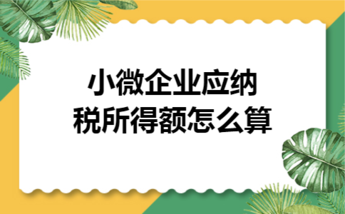小微企业应纳税所得额怎么算